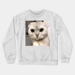 Cat Crewneck Sweatshirt